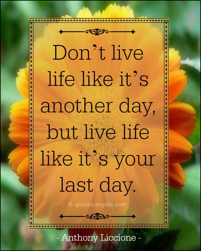 Live Your Life Quotes with Image - Quotes and Sayings