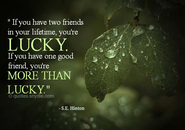 cute-friendship-quotes-with-image