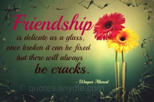 Funny Friendship Quotes and Sayings with Image – Quotes and Sayings