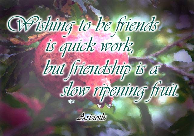 Best Quotes about Friendship – Quotes and Sayings