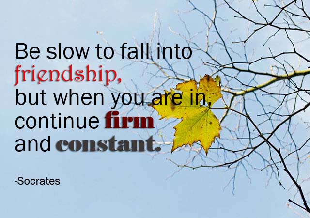 quotes-about-friendship-image