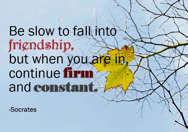 Best Quotes about Friendship – Quotes and Sayings