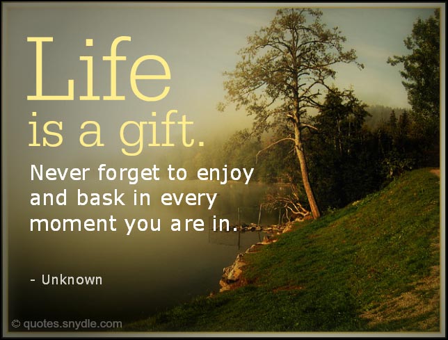 Live Your Life Quotes With Image Quotes And Sayings