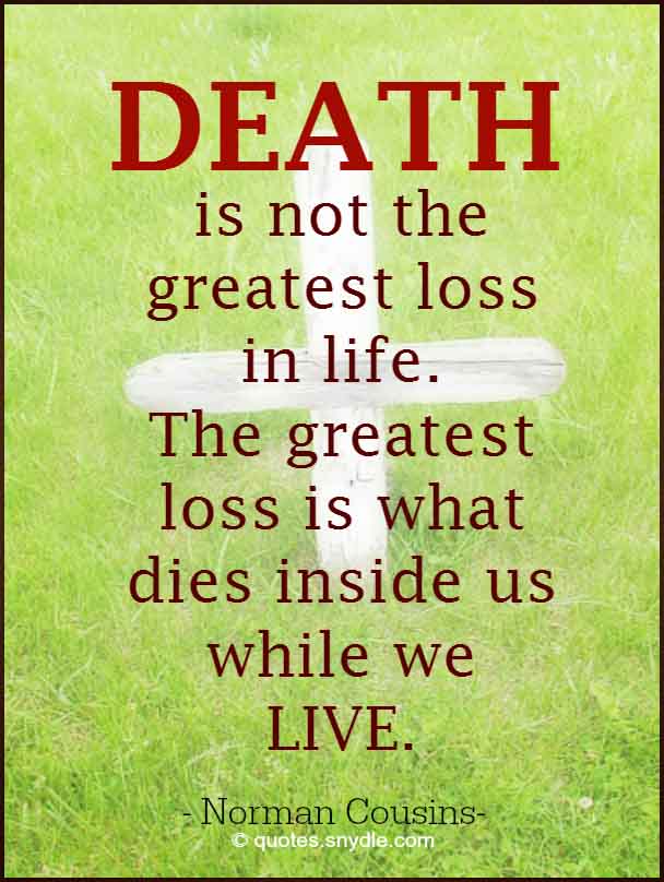 Inspirational Quotes For Tragic Death Quotesgram - vrogue.co